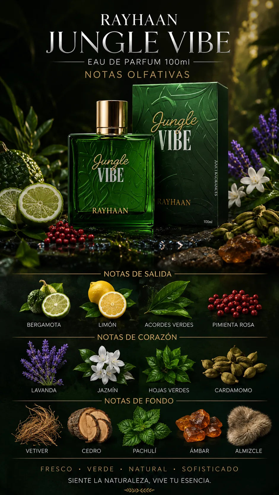Perfume Rayhaan Jungle Vibe Eau de Parfum 100ml Original