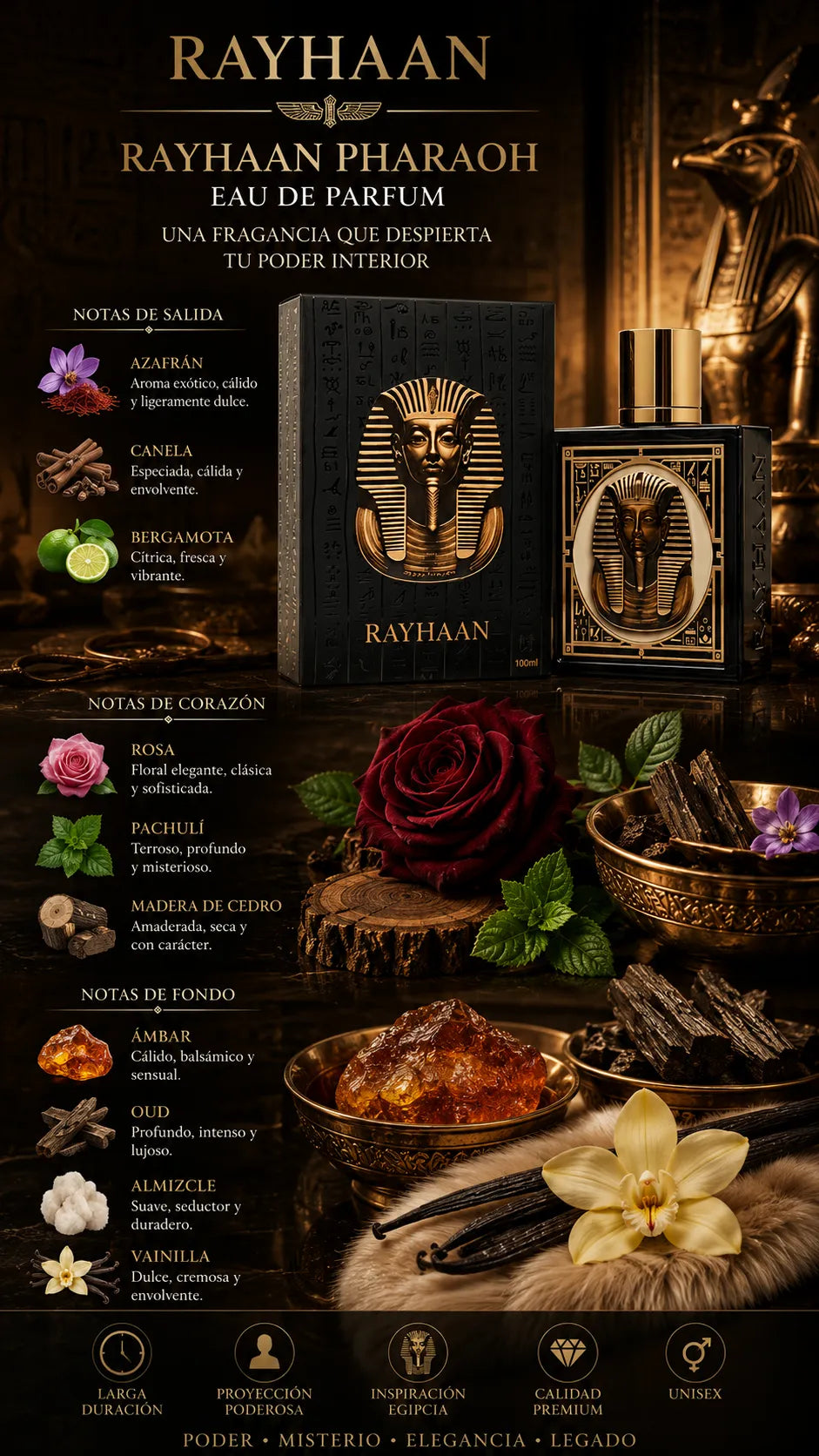 Perfume Rayhaan Pharaoh Eau de Parfum 100ml Original