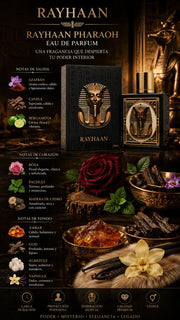 Perfume Rayhaan Pharaoh Eau de Parfum 100ml Original