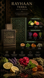 Perfume Rayhaan Terra Eau de Parfum 100ml Original